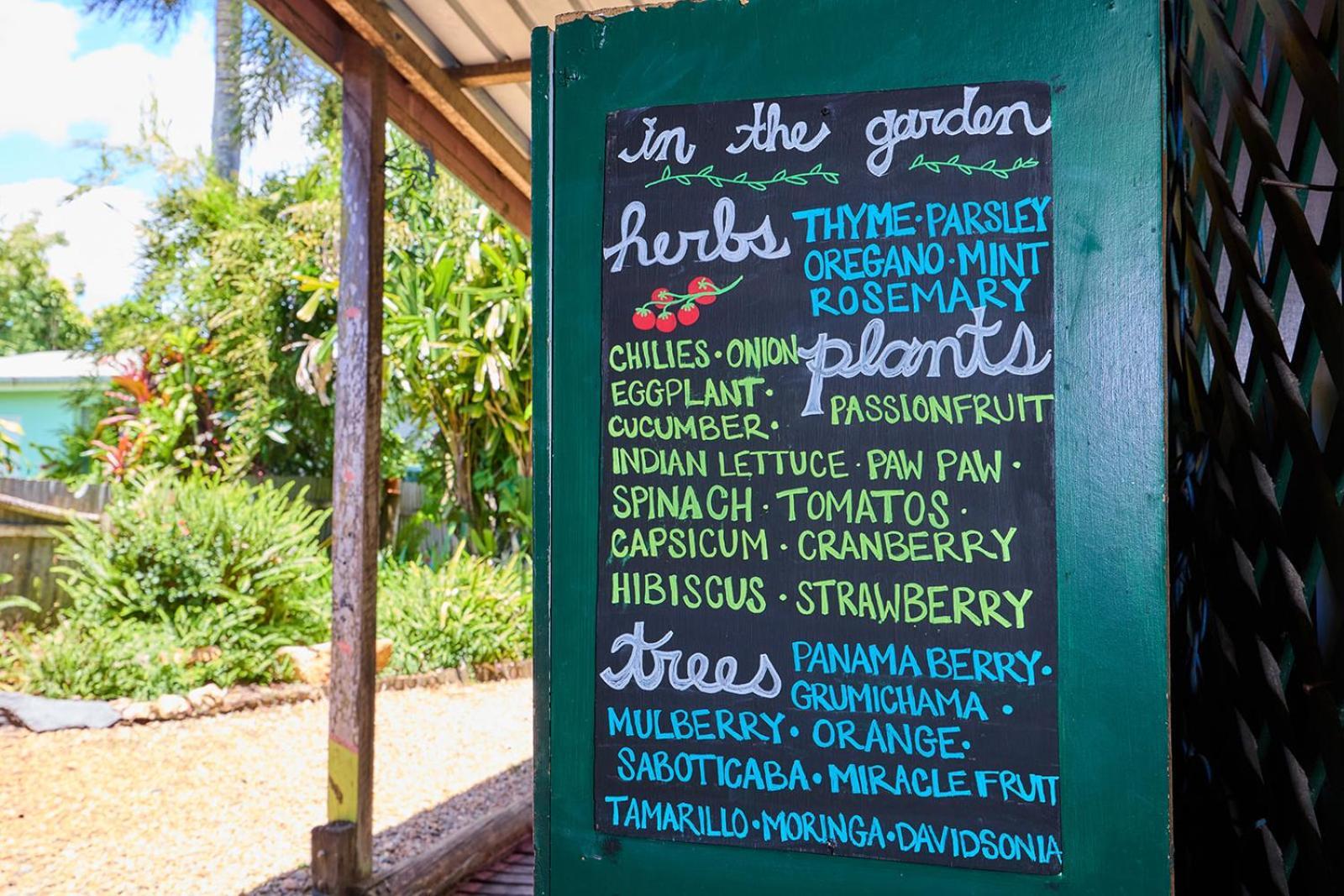 On The Wallaby Eco Lodge Yungaburra Kültér fotó